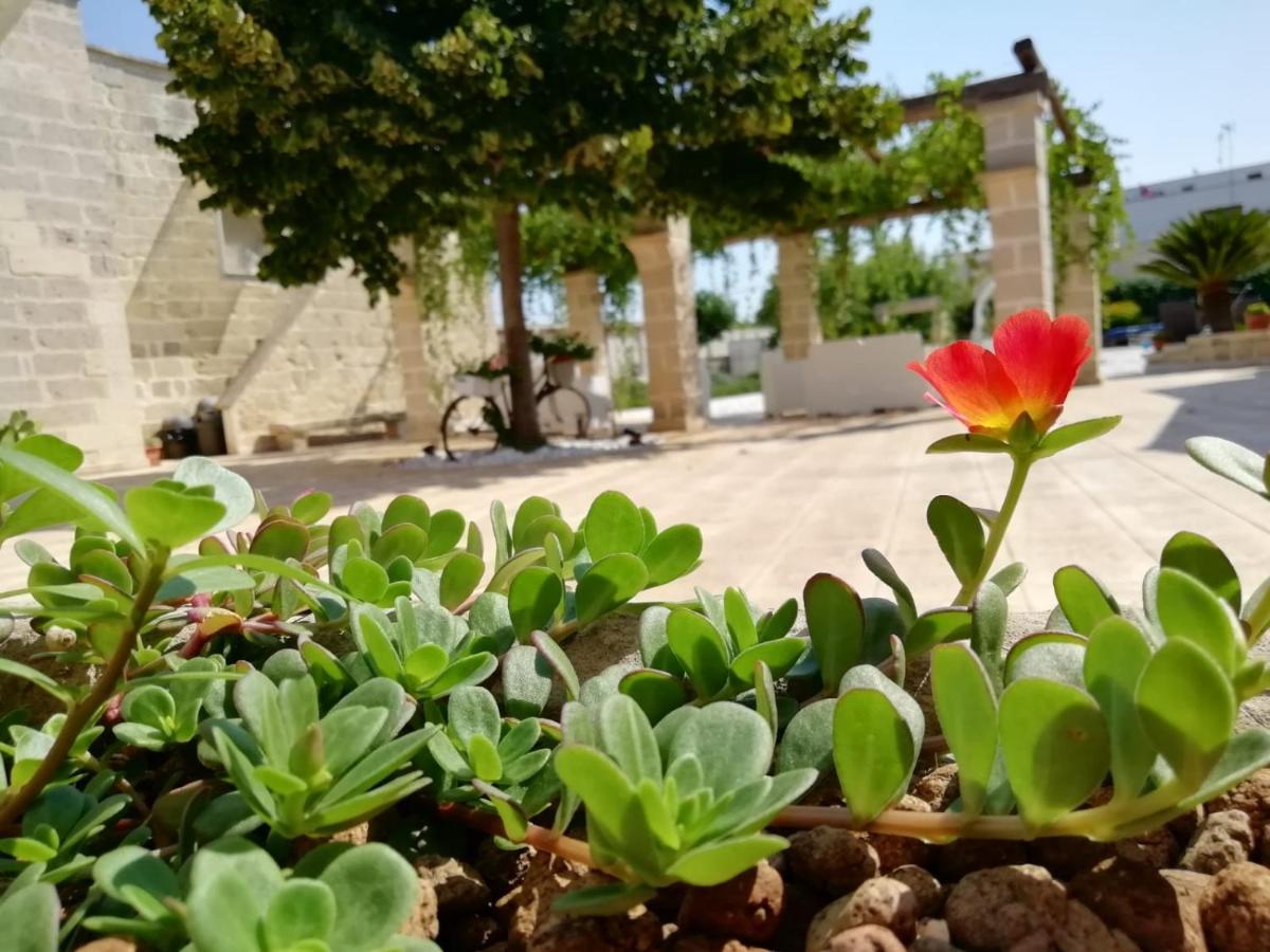 乌瓜诺拉基耶萨Il Giardino Del Tiglio住宿加早餐旅馆 外观 照片