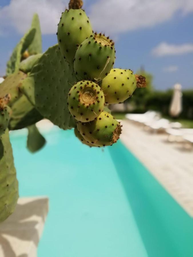乌瓜诺拉基耶萨Il Giardino Del Tiglio住宿加早餐旅馆 外观 照片
